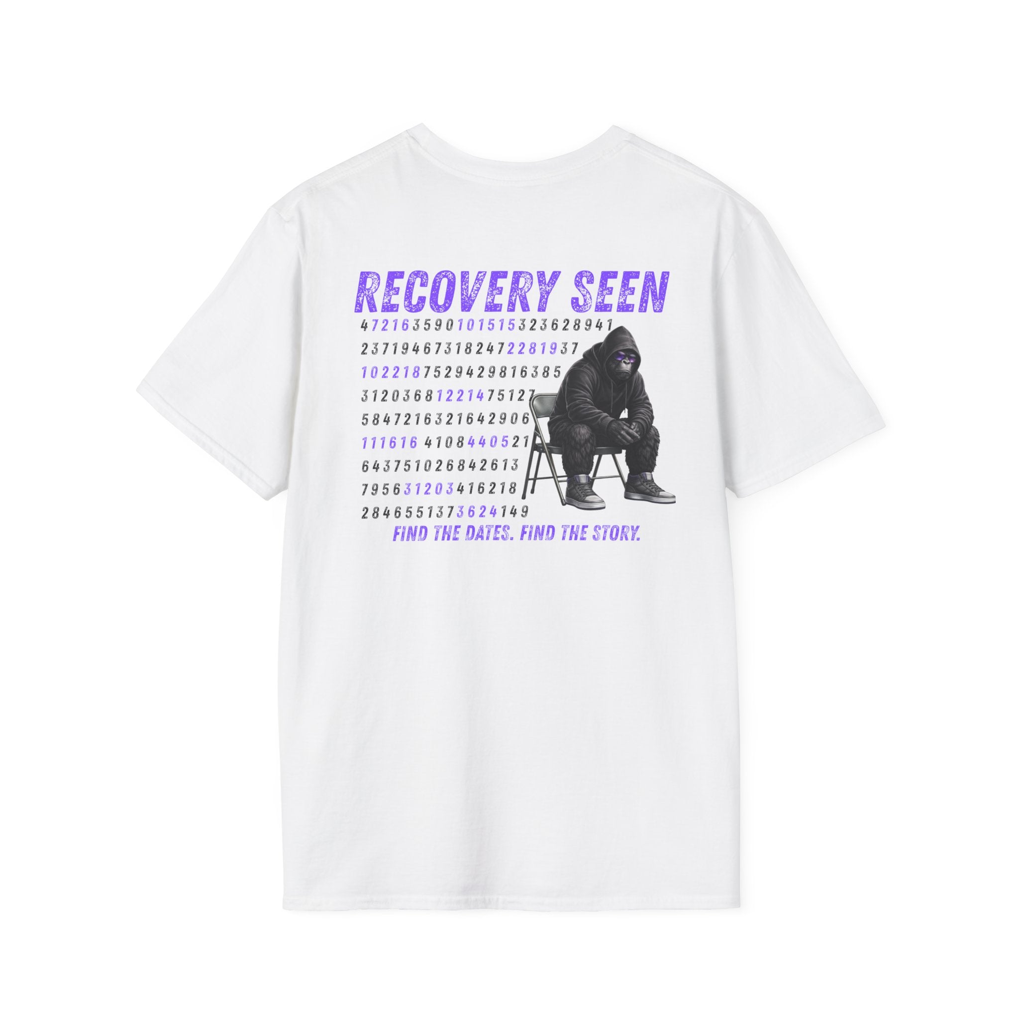 Find the Story-Recovery Seen