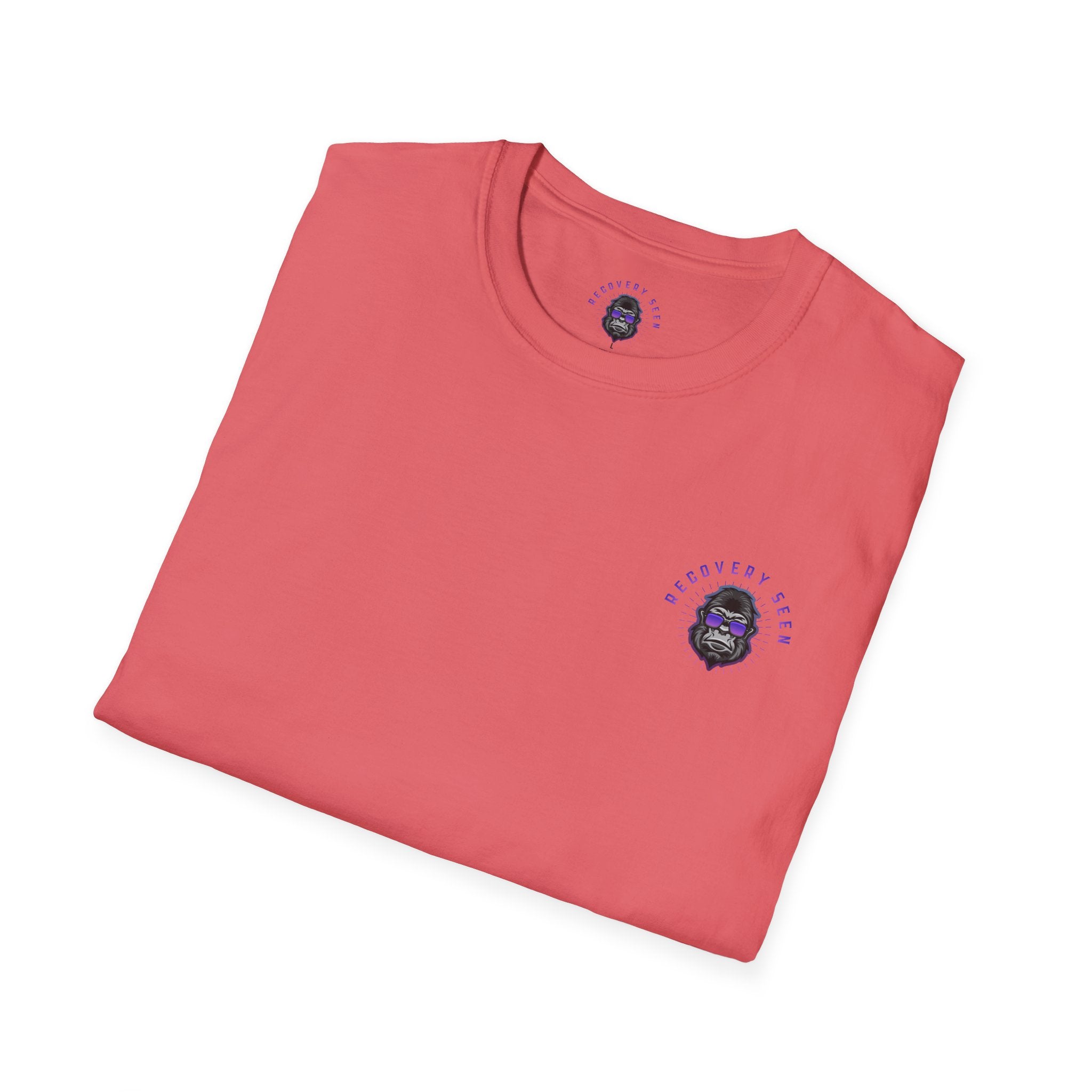 Find the Story-Recovery Seen